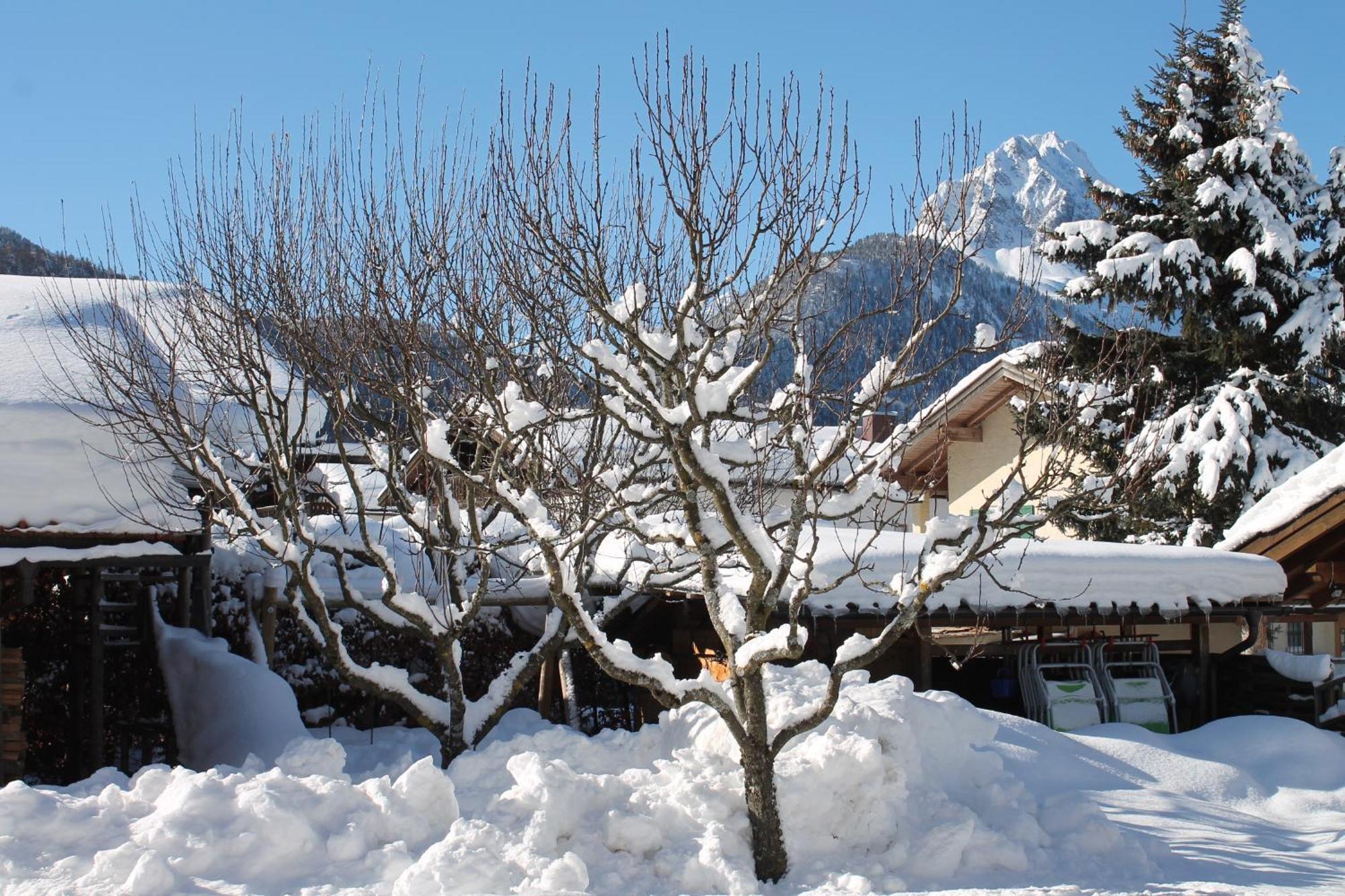 Ferienapartmenthaus Hubertushof Mittenwald Dış mekan fotoğraf